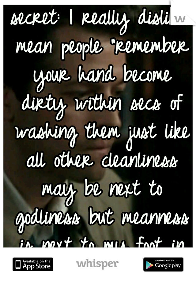 secret: I really dislike mean people "remember your hand become dirty within secs of washing them just like all other cleanliness may be next to godliness but meanness is next to my foot in your butt"