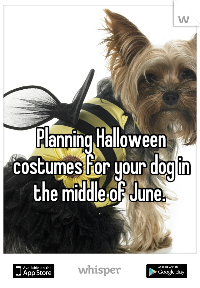 Planning Halloween costumes for your dog in the middle of June. 