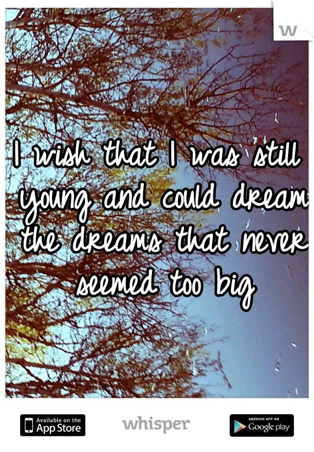 I wish that I was still young and could dream the dreams that never seemed too big