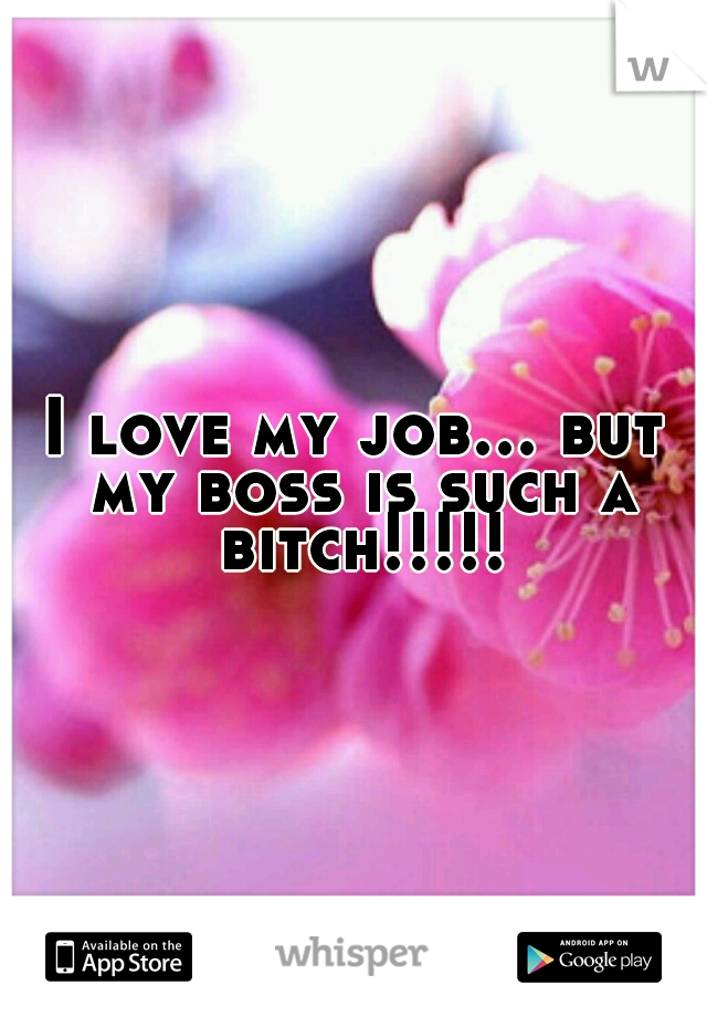 I love my job... but my boss is such a bitch!!!!!