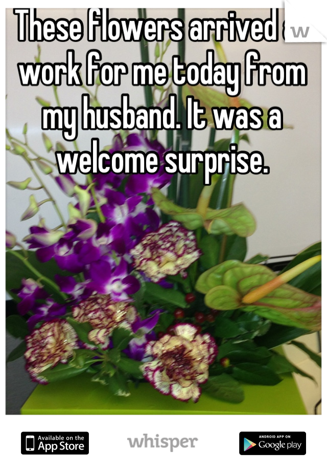 These flowers arrived at work for me today from my husband. It was a welcome surprise.