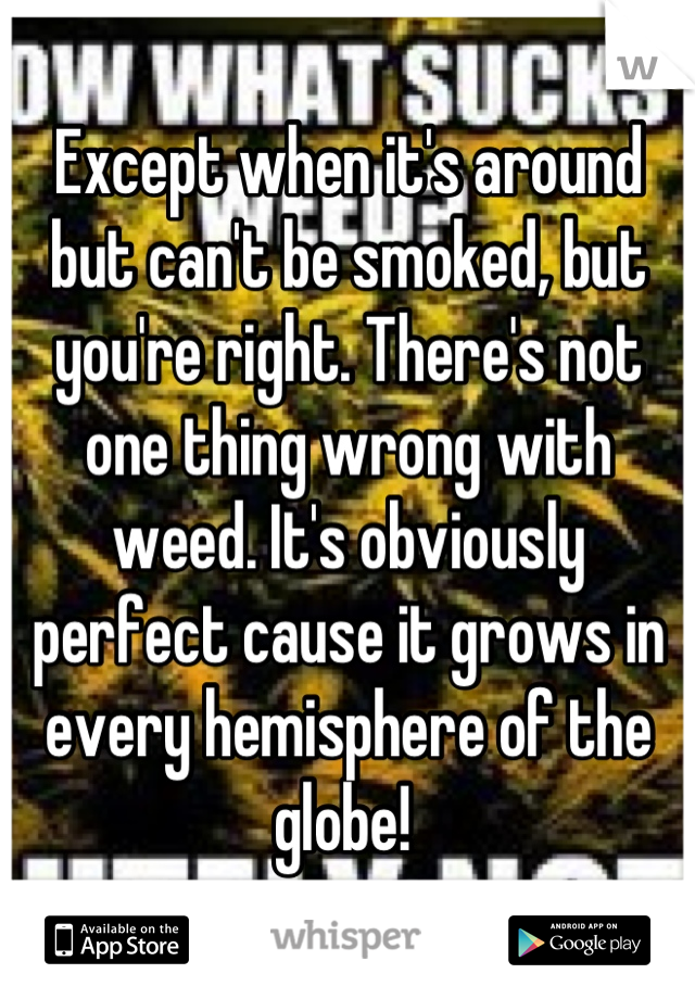 Except when it's around but can't be smoked, but you're right. There's not one thing wrong with weed. It's obviously perfect cause it grows in every hemisphere of the globe! 