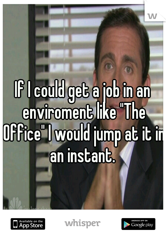 If I could get a job in an enviroment like "The Office" I would jump at it in an instant. 