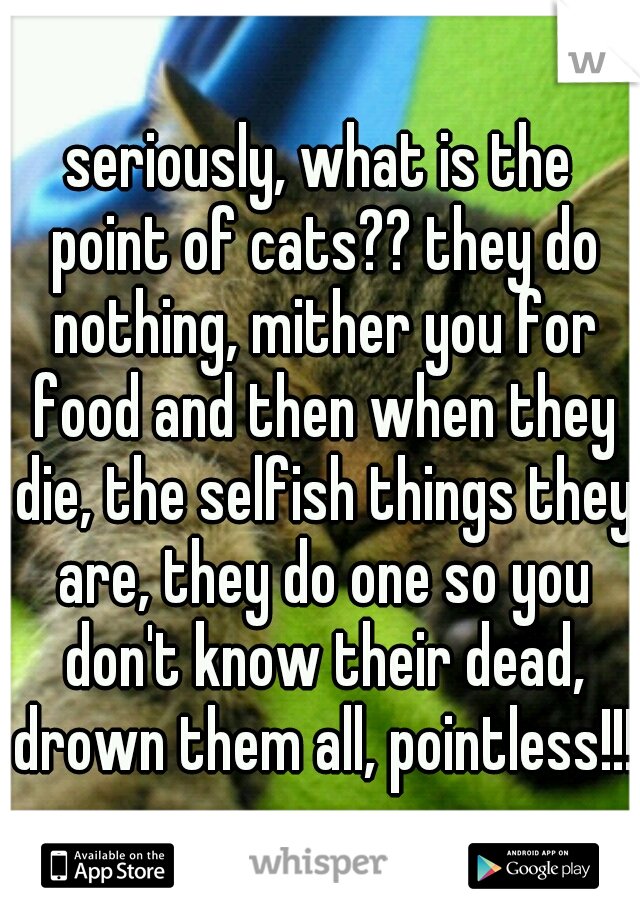 seriously, what is the point of cats?? they do nothing, mither you for food and then when they die, the selfish things they are, they do one so you don't know their dead, drown them all, pointless!!!