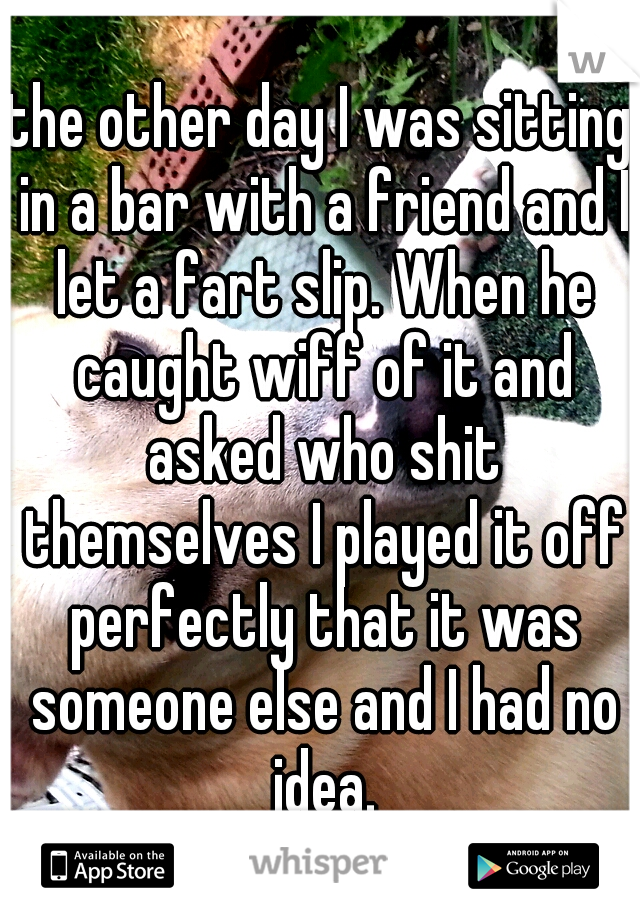 the other day I was sitting in a bar with a friend and I let a fart slip. When he caught wiff of it and asked who shit themselves I played it off perfectly that it was someone else and I had no idea.