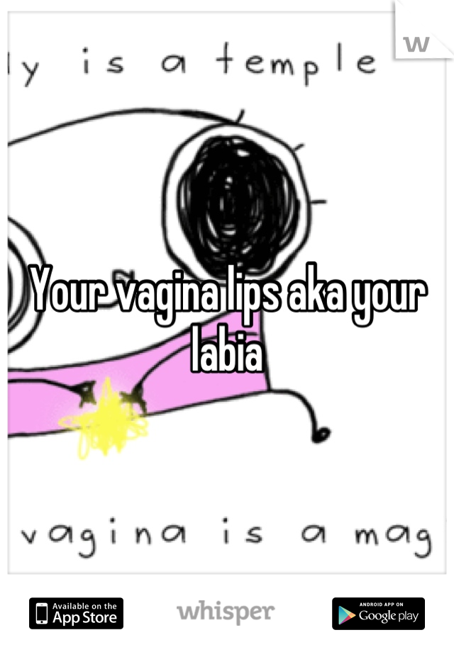 Your vagina lips aka your labia