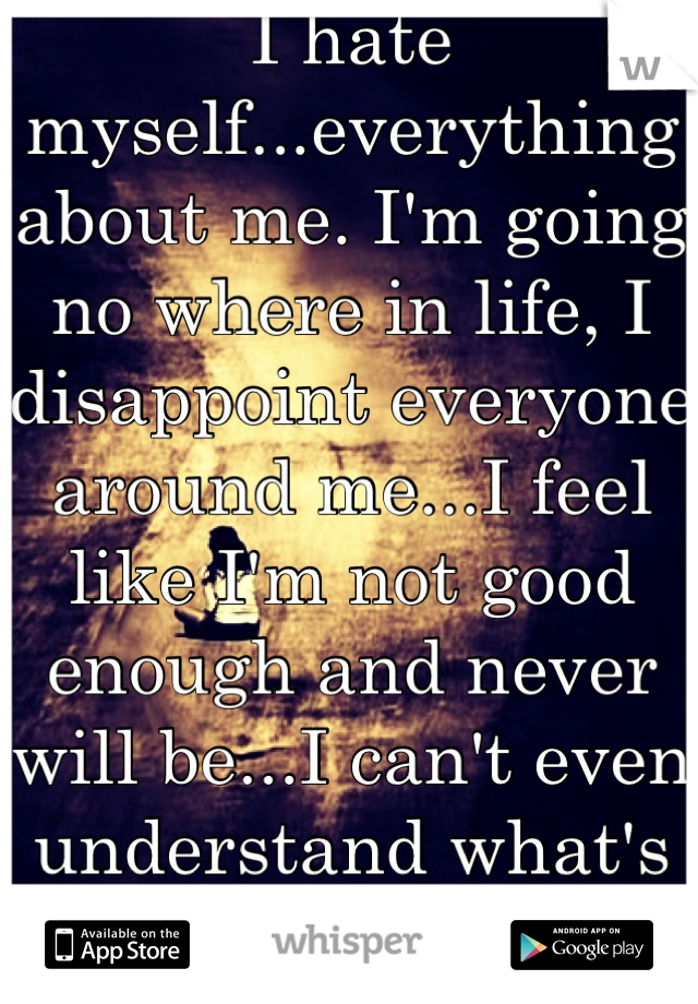I hate myself...everything about me. I'm going no where in life, I disappoint everyone around me...I feel like I'm not good enough and never will be...I can't even understand what's wrong with me :'( 