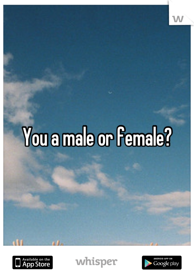 You a male or female?