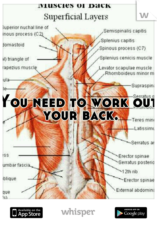You need to work out your back.