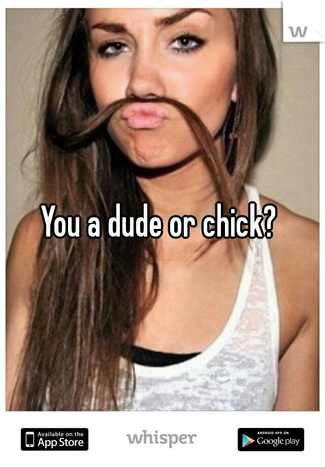 You a dude or chick? 