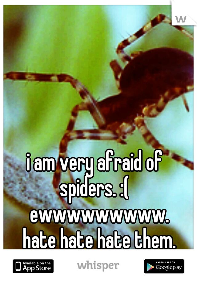 i am very afraid of spiders. :( 
ewwwwwwwww.      
hate hate hate them.