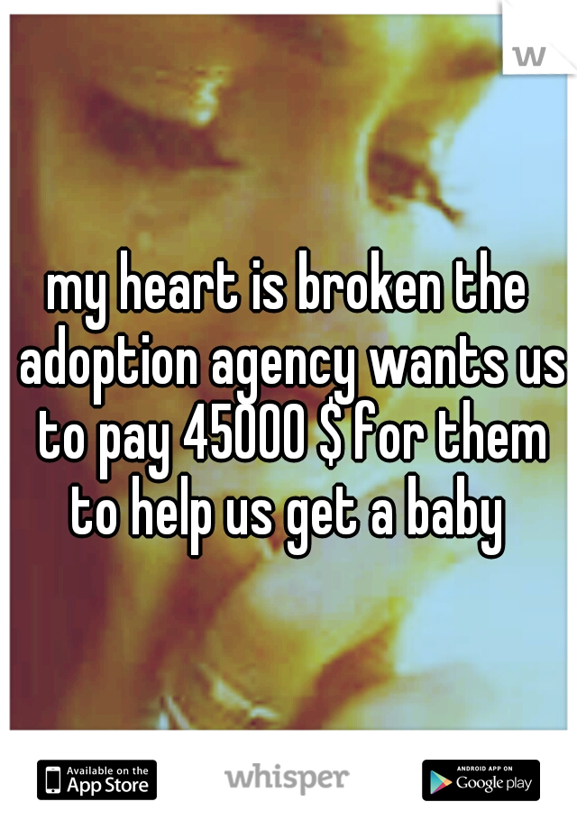 my heart is broken the adoption agency wants us to pay 45000 $ for them to help us get a baby 