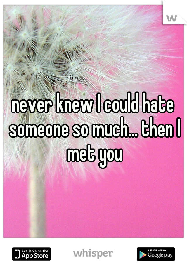 never knew I could hate someone so much... then I met you