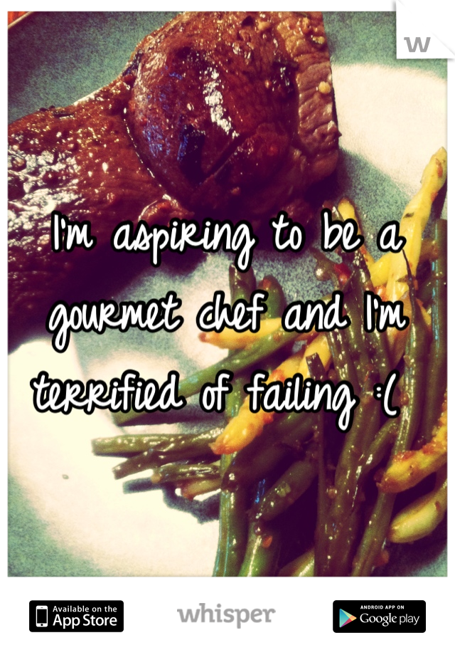 I'm aspiring to be a gourmet chef and I'm terrified of failing :( 