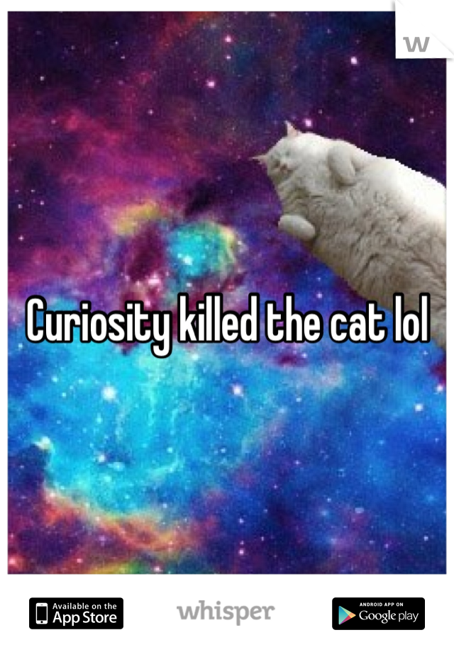 Curiosity killed the cat lol