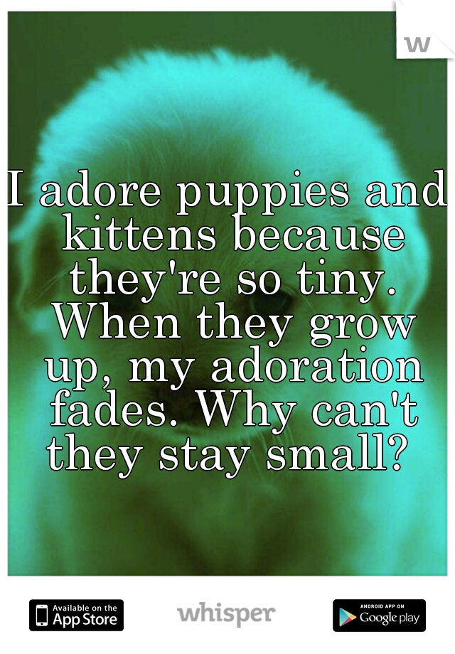 I adore puppies and kittens because they're so tiny. When they grow up, my adoration fades. Why can't they stay small? 