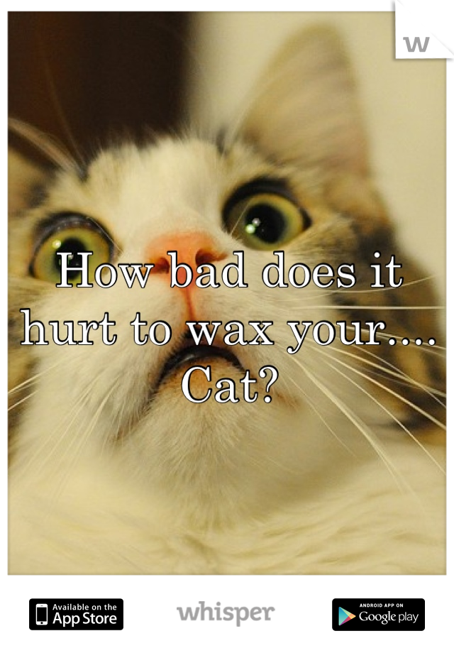 How bad does it hurt to wax your.... Cat?