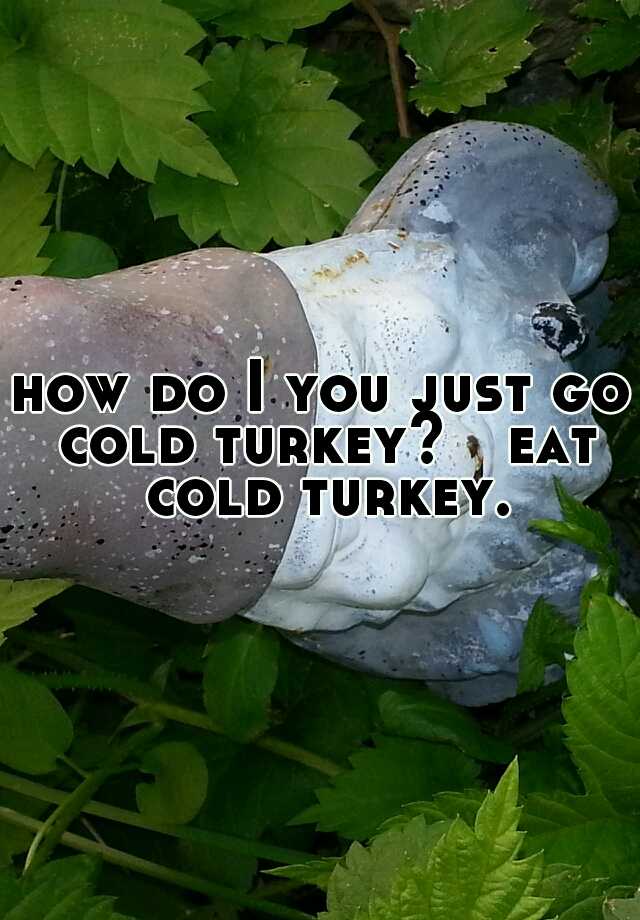 how-do-i-you-just-go-cold-turkey-eat-cold-turkey