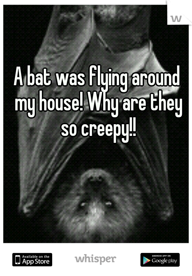 A bat was flying around my house! Why are they so creepy!!