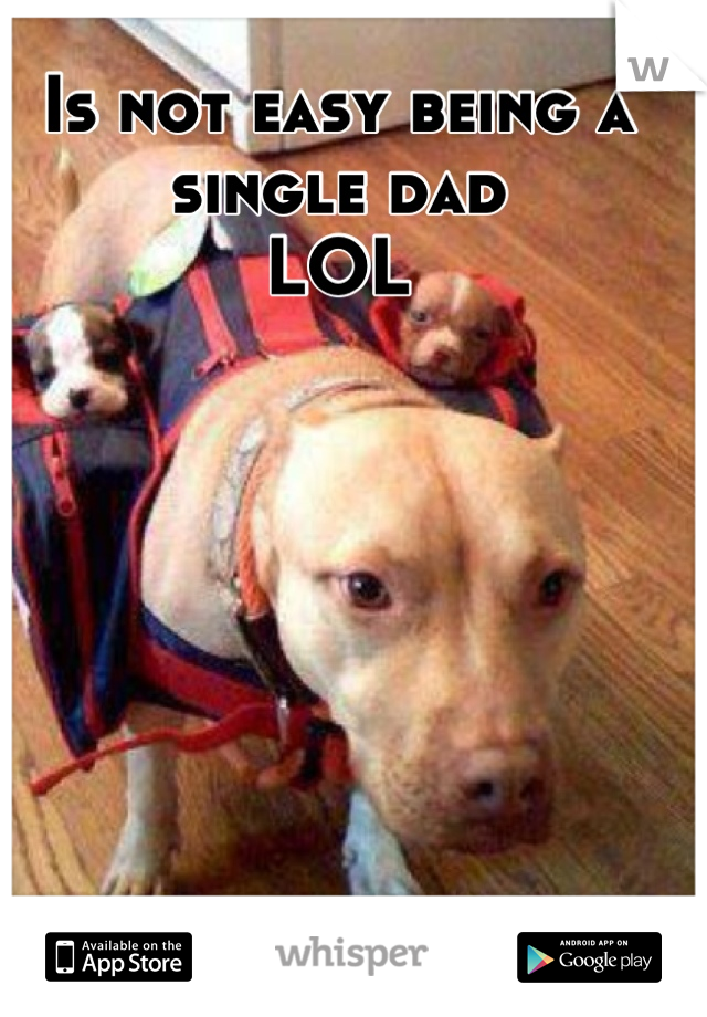 Is not easy being a single dad
LOL