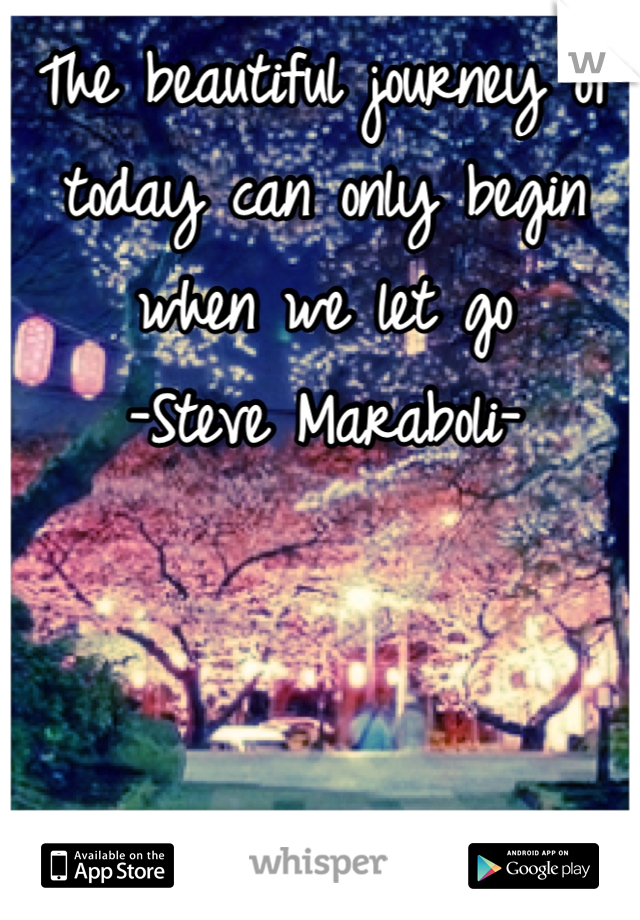 The beautiful journey of today can only begin when we let go
-Steve Maraboli-