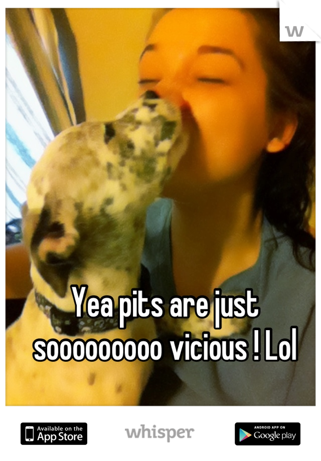 Yea pits are just sooooooooo vicious ! Lol