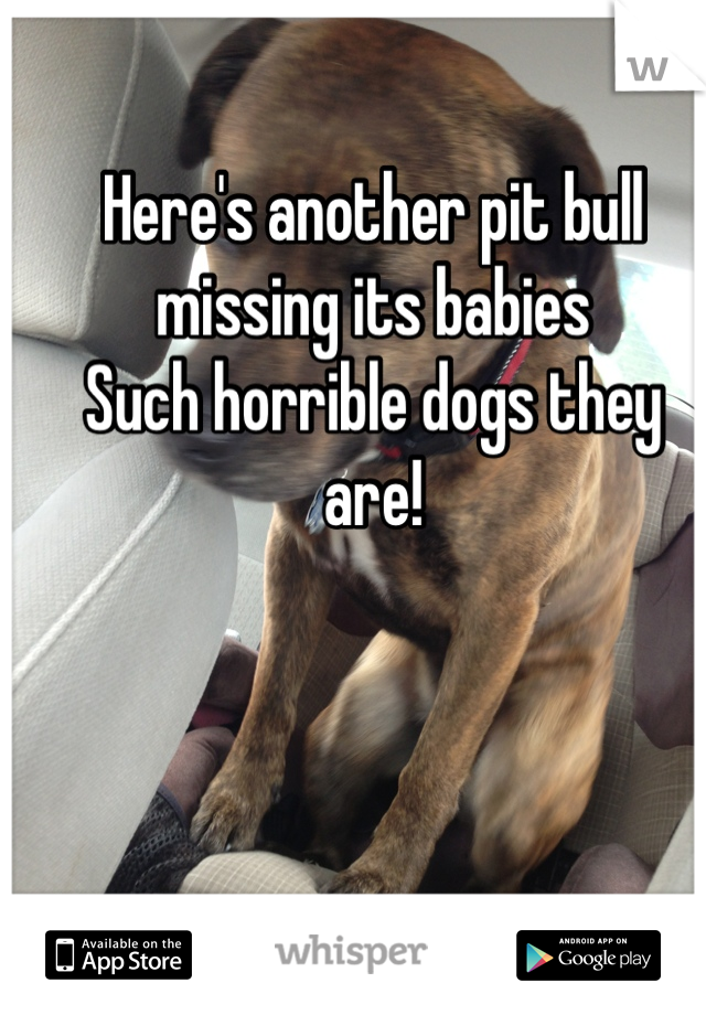 Here's another pit bull missing its babies
Such horrible dogs they are!