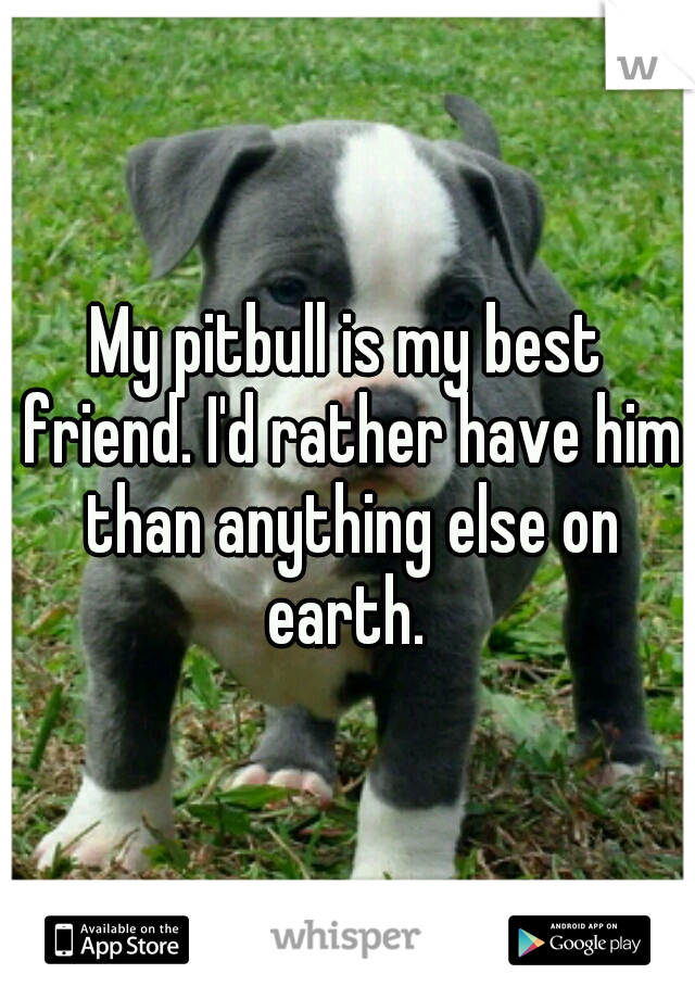 My pitbull is my best friend. I'd rather have him than anything else on earth. 