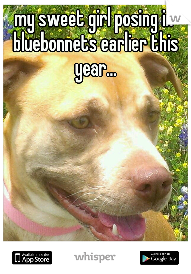 my sweet girl posing in bluebonnets earlier this year...