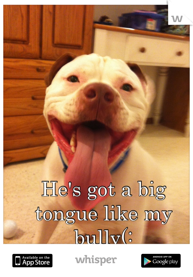 He's got a big tongue like my bully(: