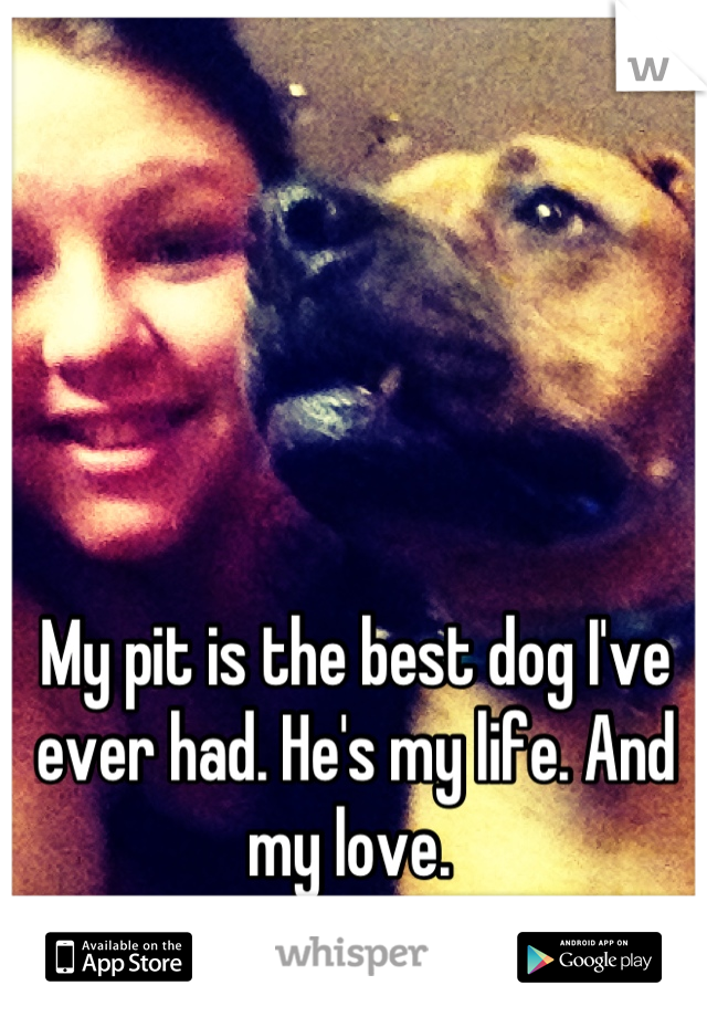 My pit is the best dog I've ever had. He's my life. And my love. 