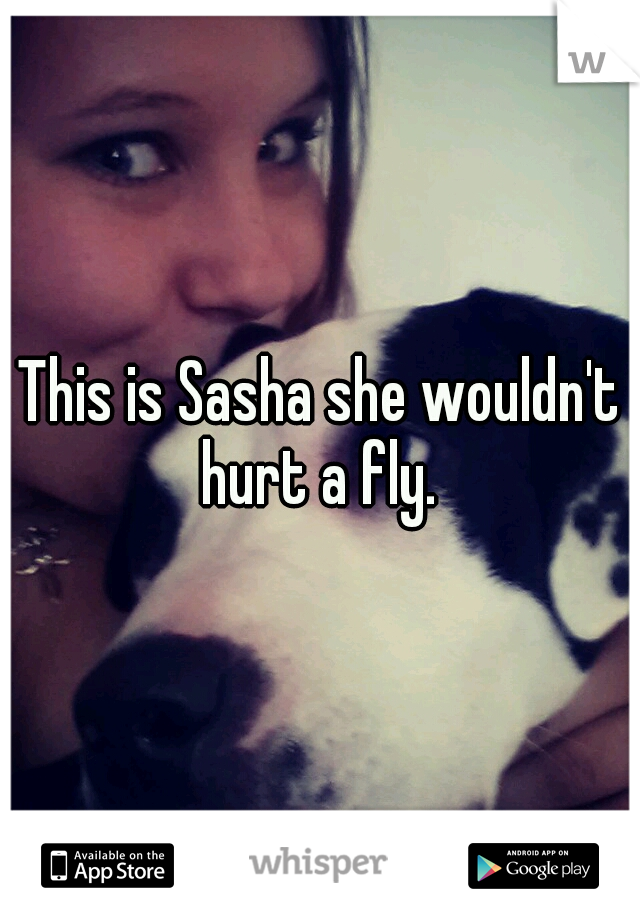 This is Sasha she wouldn't hurt a fly. 