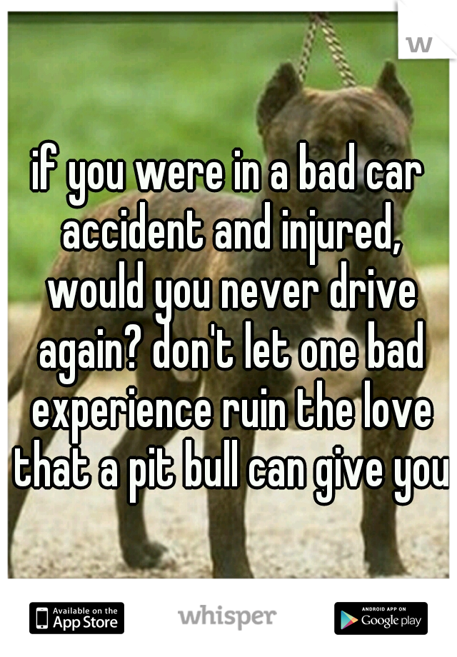 if you were in a bad car accident and injured, would you never drive again? don't let one bad experience ruin the love that a pit bull can give you