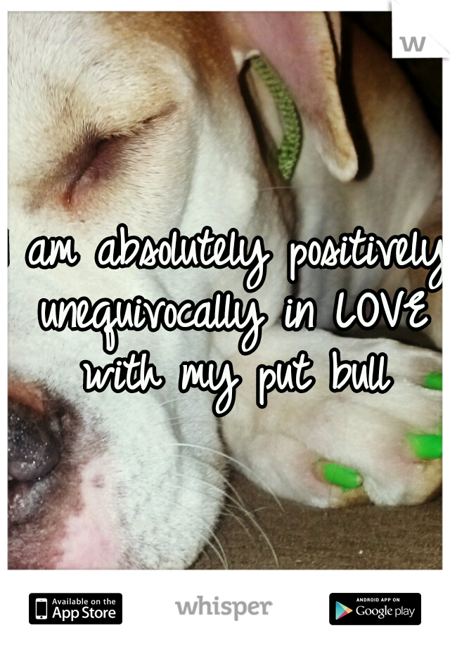 I am absolutely positively unequivocally in LOVE with my put bull