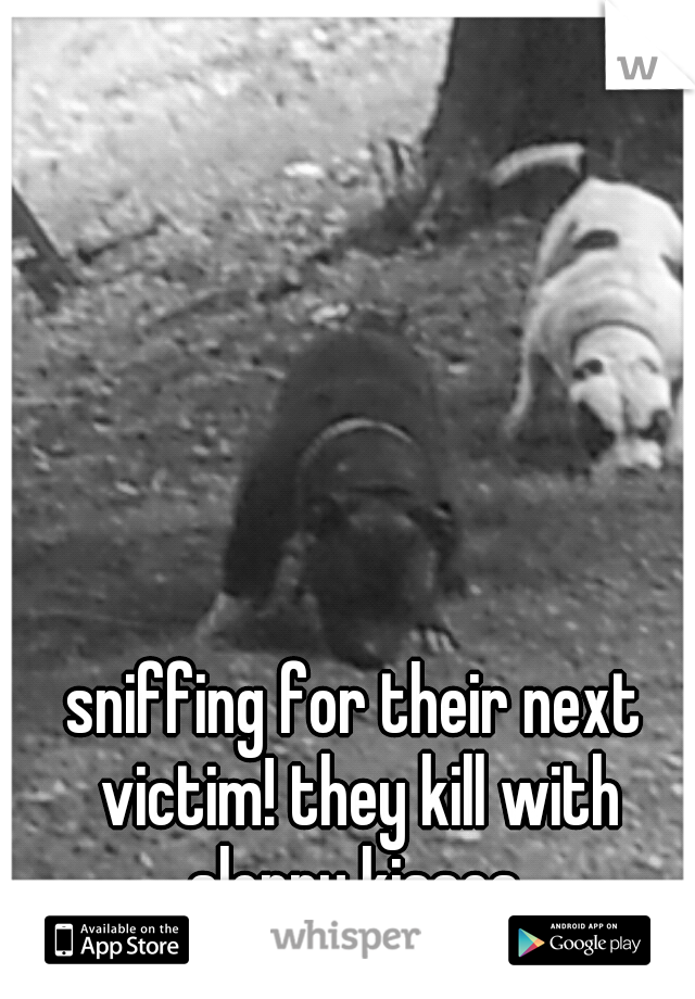 sniffing for their next victim! they kill with sloppy kisses.