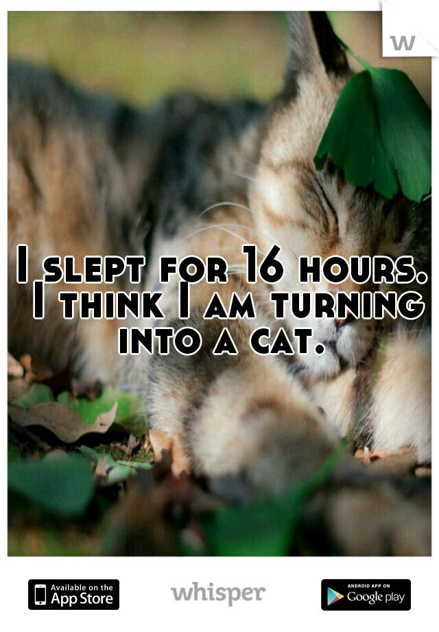 I slept for 16 hours. I think I am turning into a cat. 