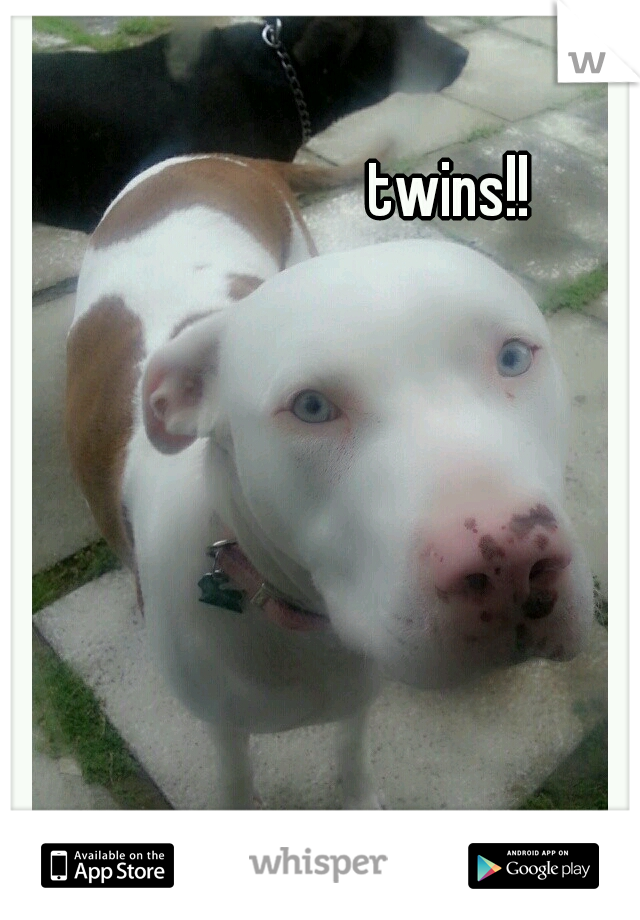 twins!!