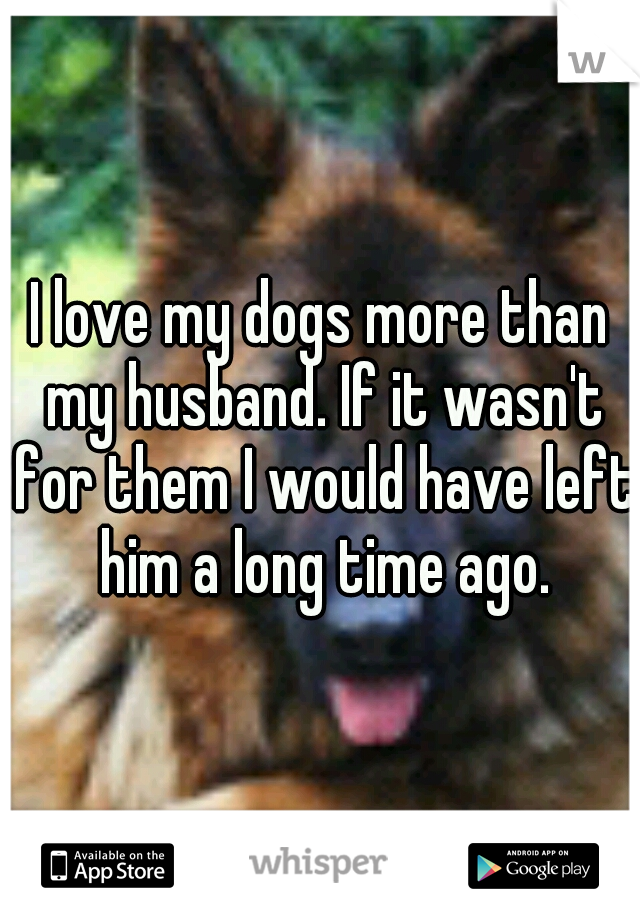 I love my dogs more than my husband. If it wasn't for them I would have left him a long time ago.