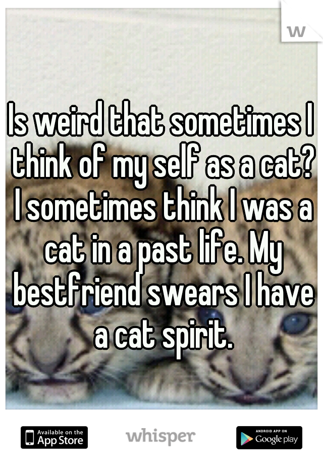 Is weird that sometimes I think of my self as a cat? I sometimes think I was a cat in a past life. My bestfriend swears I have a cat spirit.