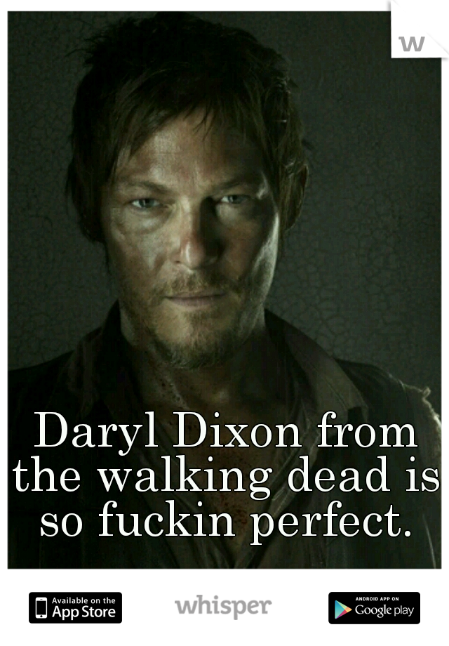 Daryl Dixon from the walking dead is so fuckin perfect.