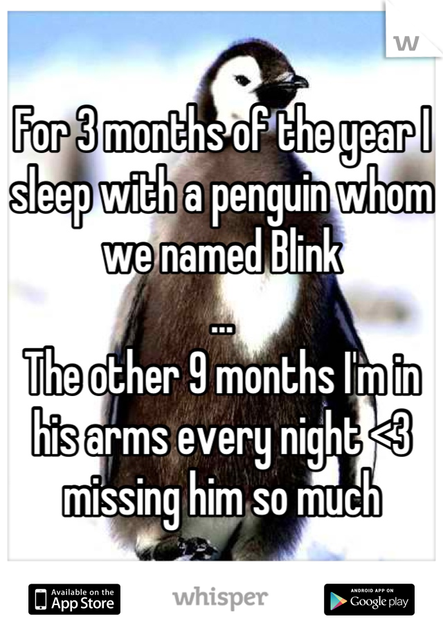 For 3 months of the year I sleep with a penguin whom we named Blink 
...
The other 9 months I'm in his arms every night <3 missing him so much