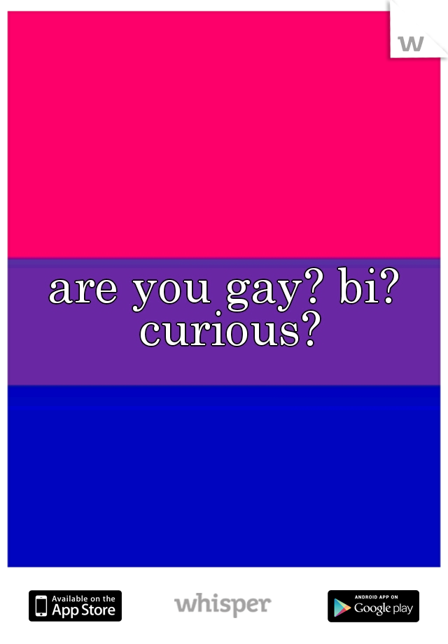 are you gay? bi? curious?