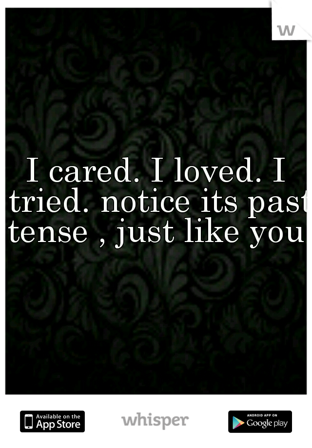 I cared. I loved. I tried. notice its past tense , just like you.  