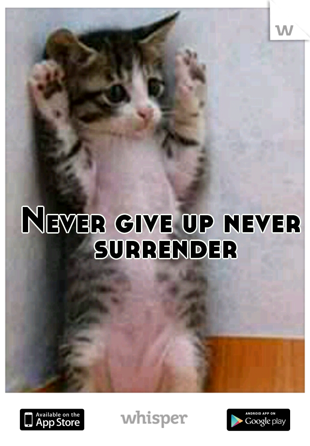 Never give up never surrender
