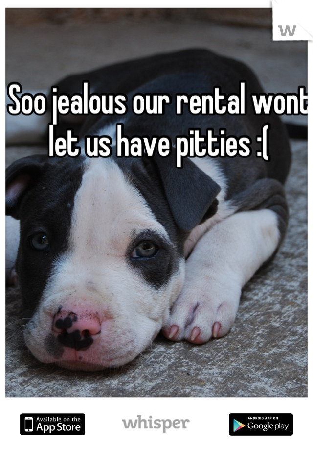 Soo jealous our rental wont let us have pitties :(