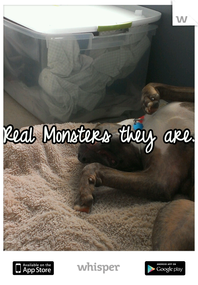 Real Monsters they are.