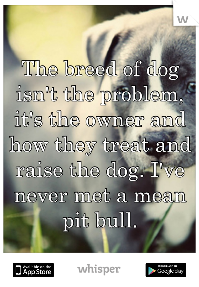 The breed of dog isn't the problem, it's the owner and how they treat and raise the dog. I've never met a mean pit bull.