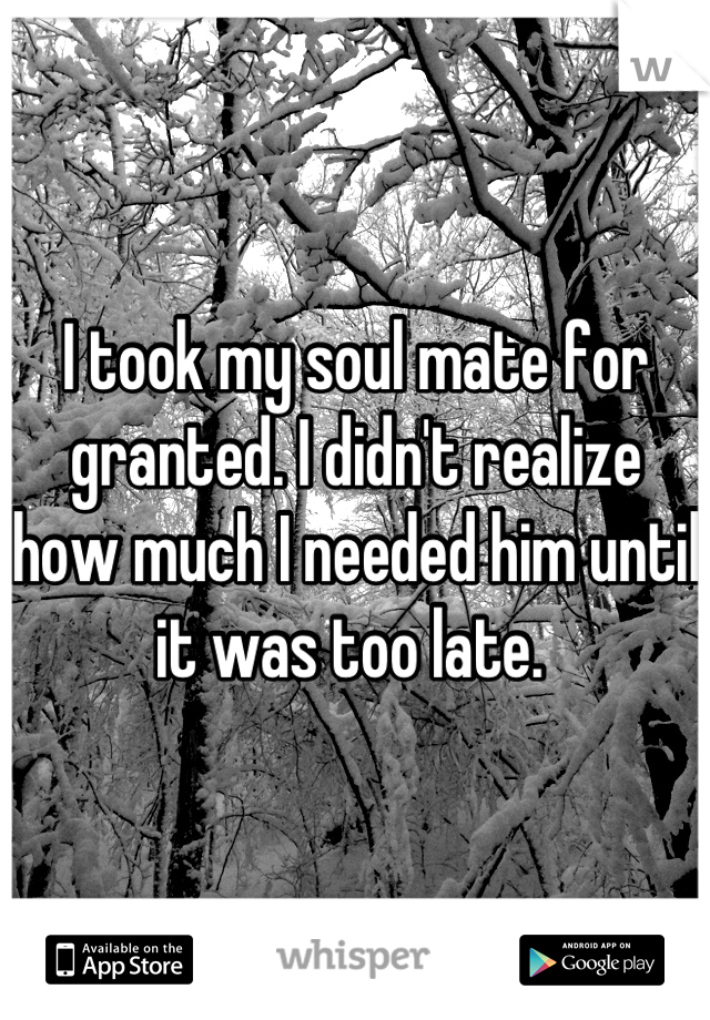 I took my soul mate for granted. I didn't realize how much I needed him until it was too late. 
