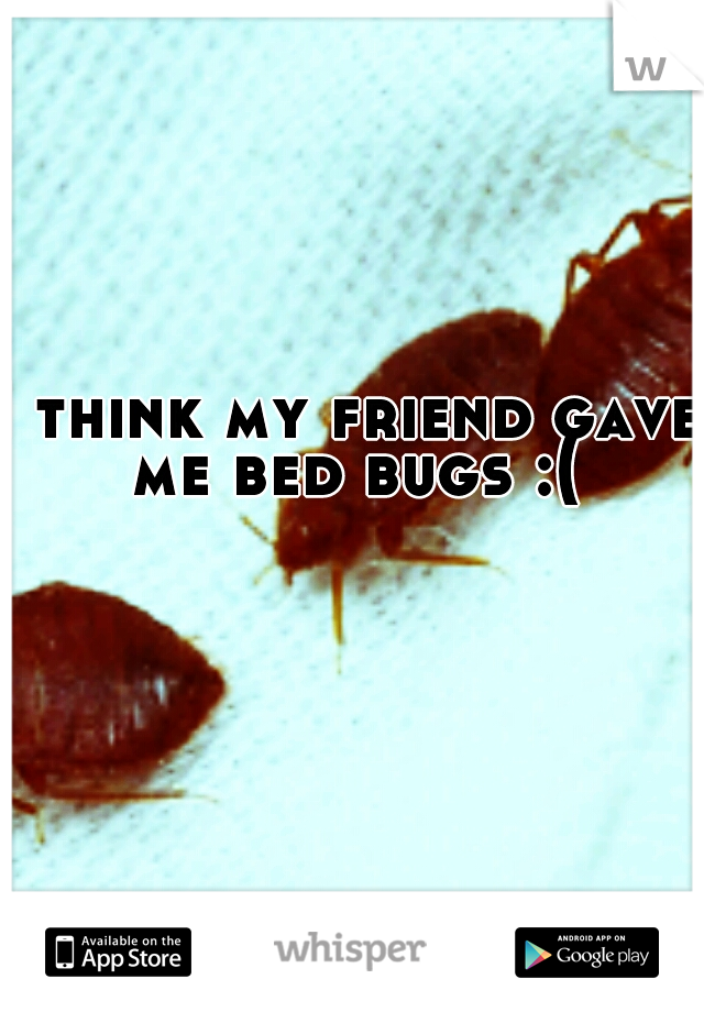 I think my friend gave me bed bugs :(