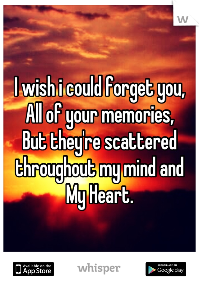 I wish i could forget you,
All of your memories,
But they're scattered 
throughout my mind and 
My Heart.